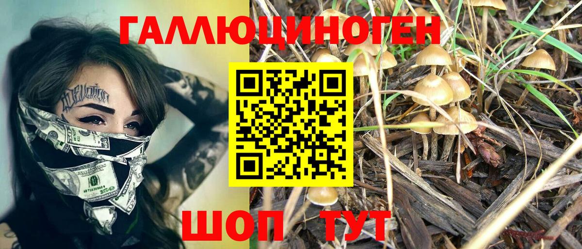 Галлюциногенные грибы MAGIC MUSHROOMS  Вход с VPN  Нижний Тагил 