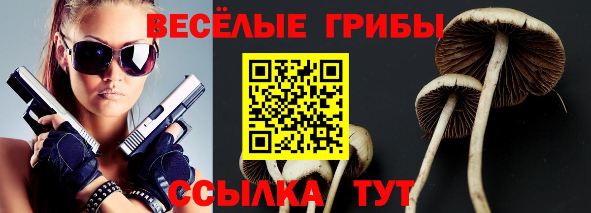 Псилоцибиновые грибы GOLDEN TEACHER Нижний Тагил